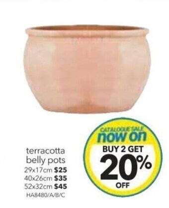 Cheap as Chips Terracotta Belly Pots offer