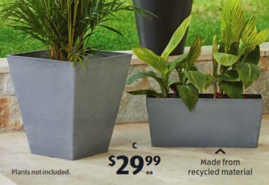 Decorative Planters offer at ALDI
