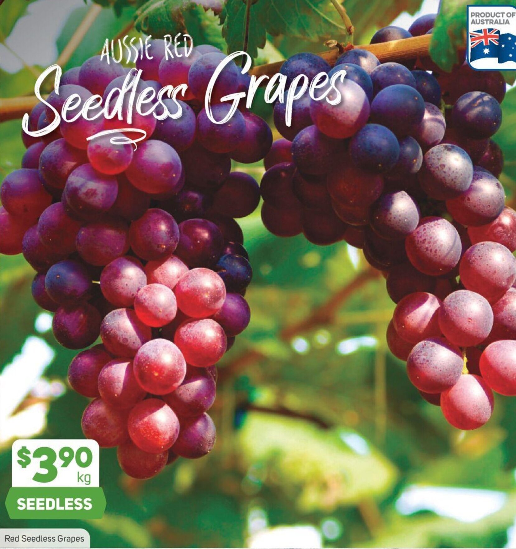 Red Seedless Grapes offer at Foodland
