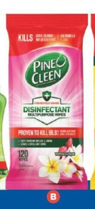 Foodland Pine O Cleen Wipes 120 Pack offer