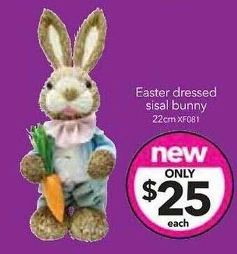 Cheap as Chips Easter dressed sisal bunny offer