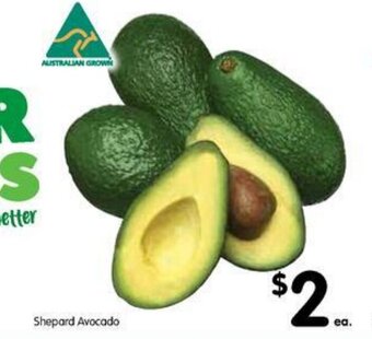 Spar Shepard Avocado offer