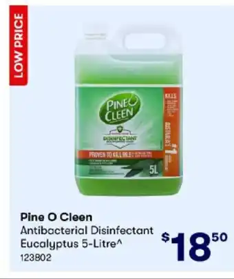 BIG W Pine O Clean Antibacterial Disinfectant Eucalyptus 5-Liltre offer