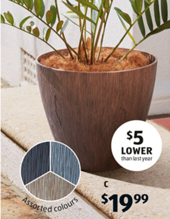 ALDI Timber-Look Planter offer