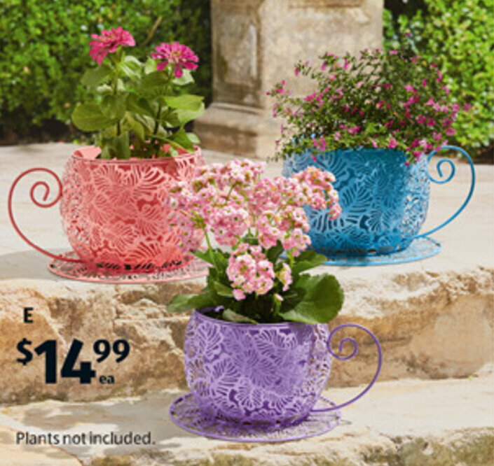 Tea Cup Planter offer at ALDI