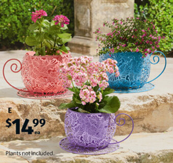 ALDI Tea Cup Planter offer