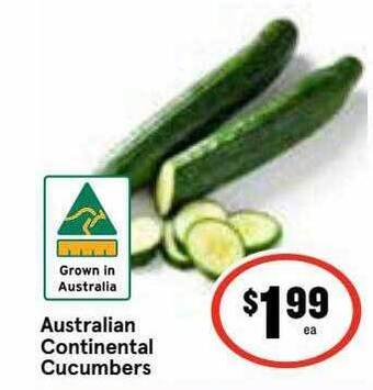 Australian continental cucumbers