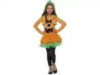 The Party People Shop Child Costume - Pumpkin Tutu Dress offer