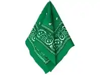 The Party People Shop Bandana - Paisley, Green offer