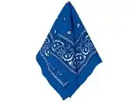 Bandana - Paisley, Blue
