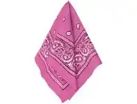 The Party People Shop Bandana - Paisley, Pink offer