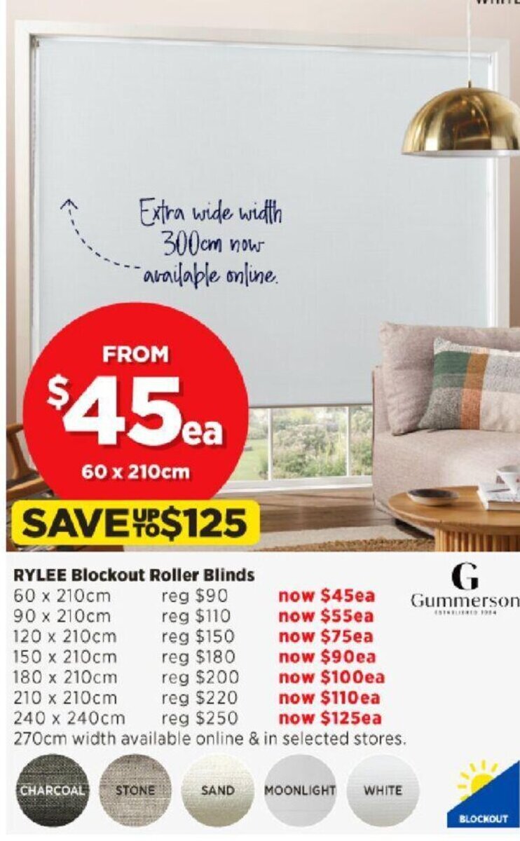 Rylee Blockout Roller Blinds 60x210 cm offer at Spotlight
