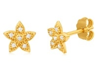 Shiels 9ct Yellow Gold Silver Filled Cubic Zirconia Star Stud Earrings offer