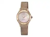 Shiels Citizen EM0783-85D Gold Stainless Steel Mesh Womens Watch offer