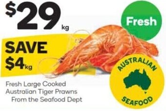 Woolworths Fresh Large Cooked Australian Tiger Prawns offer