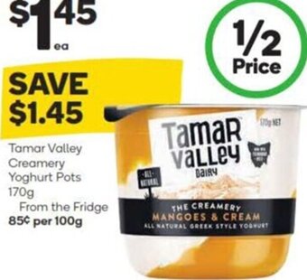 Woolworths Tamar Valley Creamery Yoghurt Pots 170g offer
