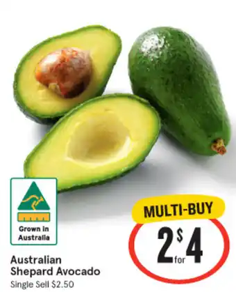 IGA Australian Shepard Avocado offer