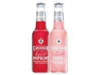 Woolworths Vodka Cruiser Mixed Bottles 10x275ml offer