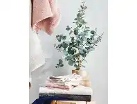 Woolworths Organic Cotton Face Washer Pk 2 offer