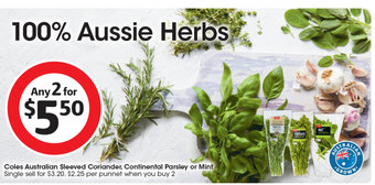 Coles Coles Australian Sleeved Coriander, Continental Parsley or Mint offer
