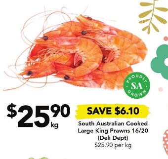 Drakes South Australian Cooked Large King Prawns 16/20 offer
