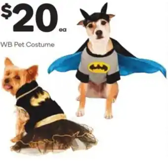 WB Pet Costume
