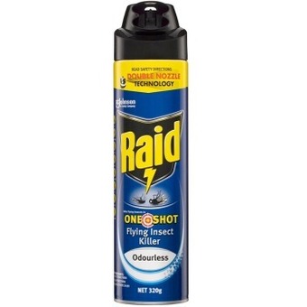 BIG W Raid one shot flying insect killer odourless 320g offer