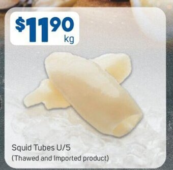 Squid Tubes U/5