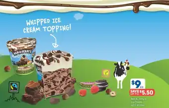 Foodland Ben & Jerry's Ice Cream 427 offer