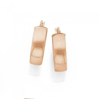 Prouds 9ct rose gold 6x15mm half round hoop earrings offer
