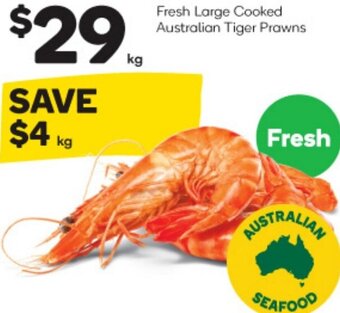 Fresh Large Cooked Australian Tiger Prawns