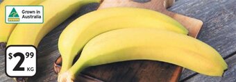 Foodworks Cavendish Bananas offer