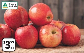 Foodworks Gala Apples offer