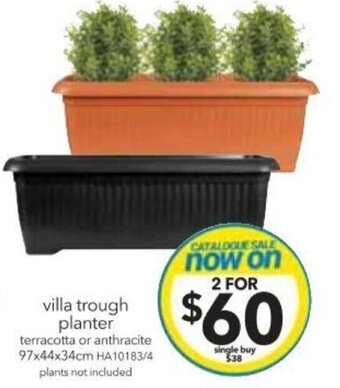 Cheap as Chips Villa Trough Planter 97x44x34cm offer