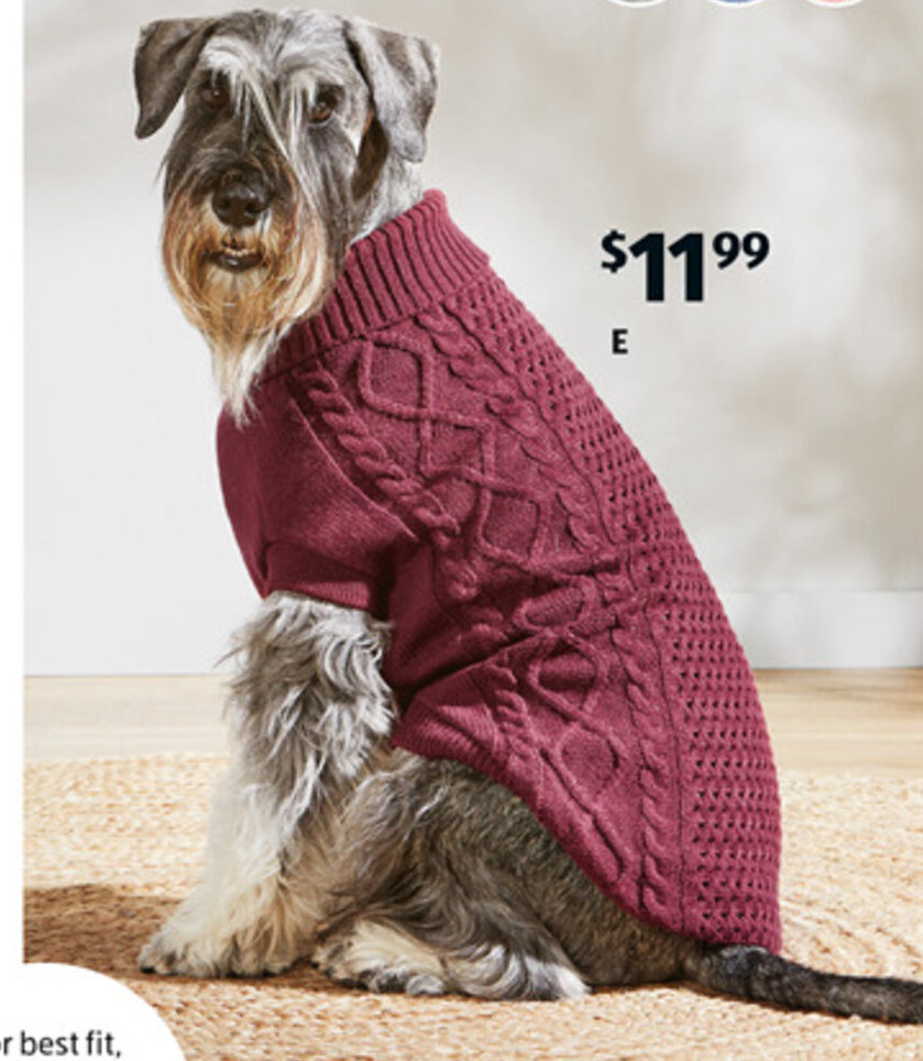 Dog Jumper Medium or Large offer at ALDI