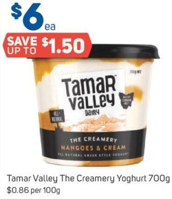Foodland Tamar Valley The Creamery Yoghurt 700g offer