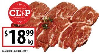 Lamb Forequarter Chops