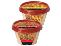 Copperpot Classic Dip 200g