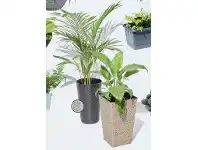 ALDI Wicker Planter offer