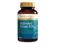 Chemist King Herbs of Gold Activated Folate 500 60 Capsules offer