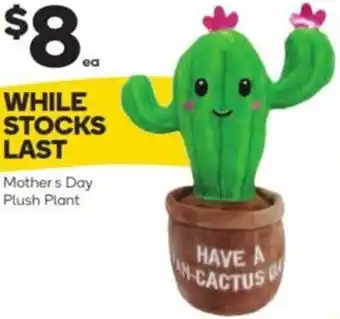 Woolworths Mothers Day Plush Plant offer
