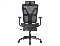LivingStyles Hudswell Mesh Fabric Ergonomic Executive Office Chair with Telescopic Footrest offer