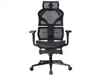 LivingStyles Alpha Mesh Fabric Ergonomic Executive Office Chair offer