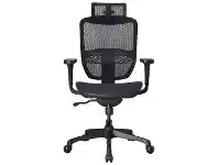 LivingStyles Neasham Mesh Fabric Ergonomic Executive Office Chair offer