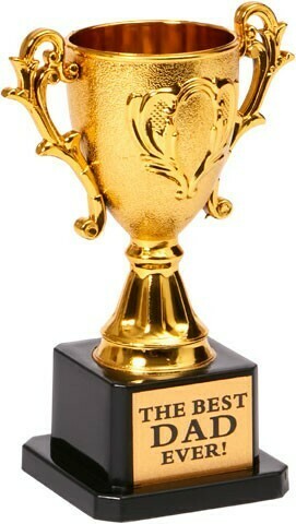 BIG W Dad Mini Trophy 14cm offer