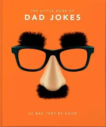 BIG W The Little Book of Dad Jokes offer