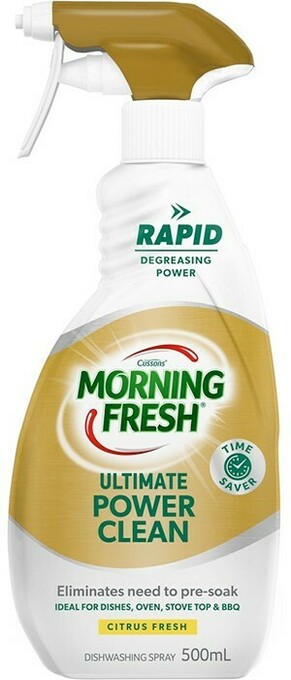BIG W Morning Fresh Dishwashing Spray 500mL offer