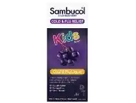 Direct Chemist Outlet Sambucol Kids Cold & Flu Liquid 120ml offer