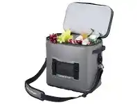 Road Tech Marine Brass Monkey Cooler Bags - 25L offer