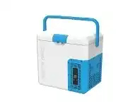 Brass Monkey Picnic - 18L